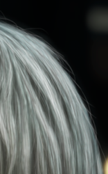 Screen Shot 2020-03-08 at 11.55.29 AM.png Screen Shot 2020-03-08 at 11.55.29 AM.png