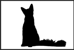 Screen Shot 2020-03-09 at 12.04.00 PM.png Screen Shot 2020-03-09 at 12.04.00 PM.png