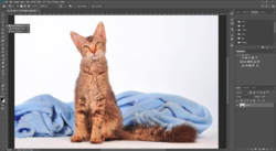 Untitled.png Untitled.png