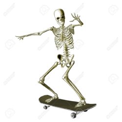 Skele.jpg Skele.jpg