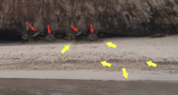 Screen Shot 2020-03-13 at 9.08.17 PM.png