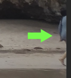 Screen Shot 2020-03-13 at 9.08.30 PM.png