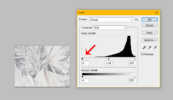 Before.jpg Before.jpg