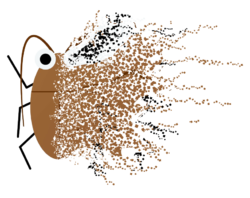 RoachDispersionEffect_01.png