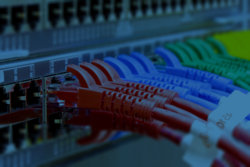 NetworkSwitchCables_002.jpg