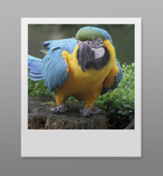 Screen Shot 2020-04-08 at 1.13.28 PM.png Screen Shot 2020-04-08 at 1.13.28 PM.png