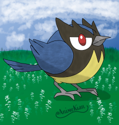 Rookidee.png Rookidee.png