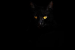 DSC09485 (2) copys.jpg