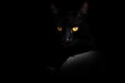 DSC09485 (2) copy.jpg