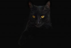 DSC09485 (2)chrisdesign.jpg