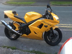 DAYTONA.JPG DAYTONA.JPG