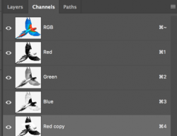 Screen Shot 2020-05-29 at 11.38.37 PM.png Screen Shot 2020-05-29 at 11.38.37 PM.png