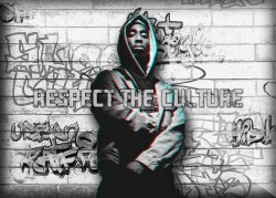 respecttheculture.jpg