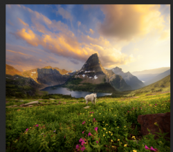 Screen Shot 2020-06-18 at 9.56.09 PM.png Screen Shot 2020-06-18 at 9.56.09 PM.png