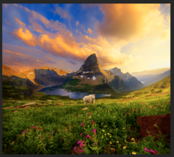 Screen Shot 2020-06-18 at 9.55.56 PM.png Screen Shot 2020-06-18 at 9.55.56 PM.png