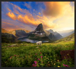 Screen Shot 2020-06-18 at 9.59.51 PM.png Screen Shot 2020-06-18 at 9.59.51 PM.png