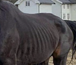 Screen Shot 2020-07-02 at 8.21.05 AM.png