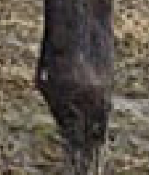 Screen Shot 2020-07-02 at 8.21.21 AM.png