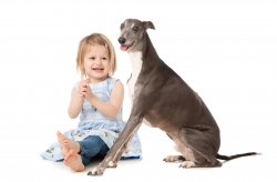 greyhound and girl edited.jpg