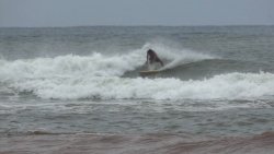 IMG_20200824_150116_741.jpg IMG_20200824_150116_741.jpg