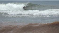 surf-tame-version.jpg surf-tame-version.jpg