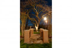 IlyyeYE.jpeg IlyyeYE.jpeg