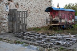 _DSC0891male.jpg _DSC0891male.jpg