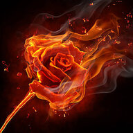 Fire.Rose.77